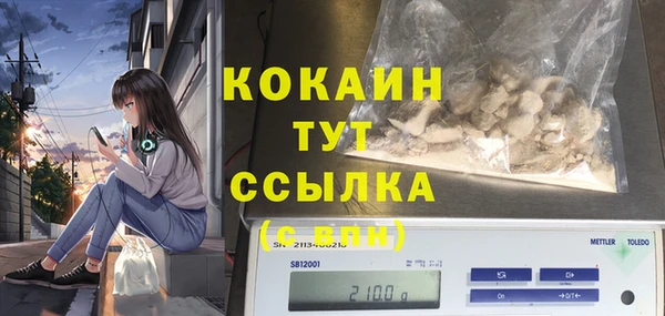 PSILOCYBIN Новокубанск