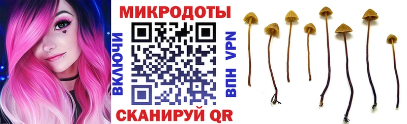 Галлюциногенные грибы MAGIC MUSHROOMS  Похвистнево 